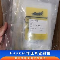 HASKEL气体增压泵维修保养 密封圈 氮气加压泵更换配件16771