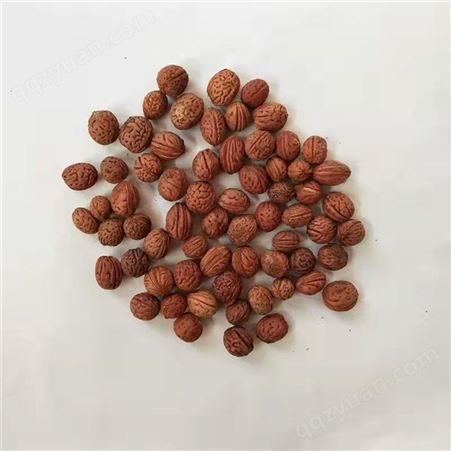山桃籽 京桃籽 发芽率高 提供种植技术 全国发货